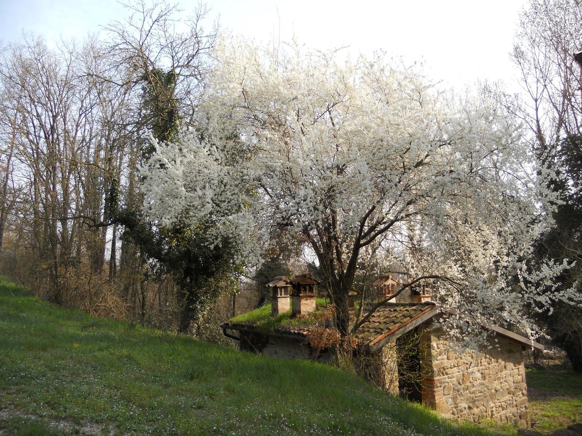 La Cartiera Dei Benandanti Villa Monghidoro Exterior photo