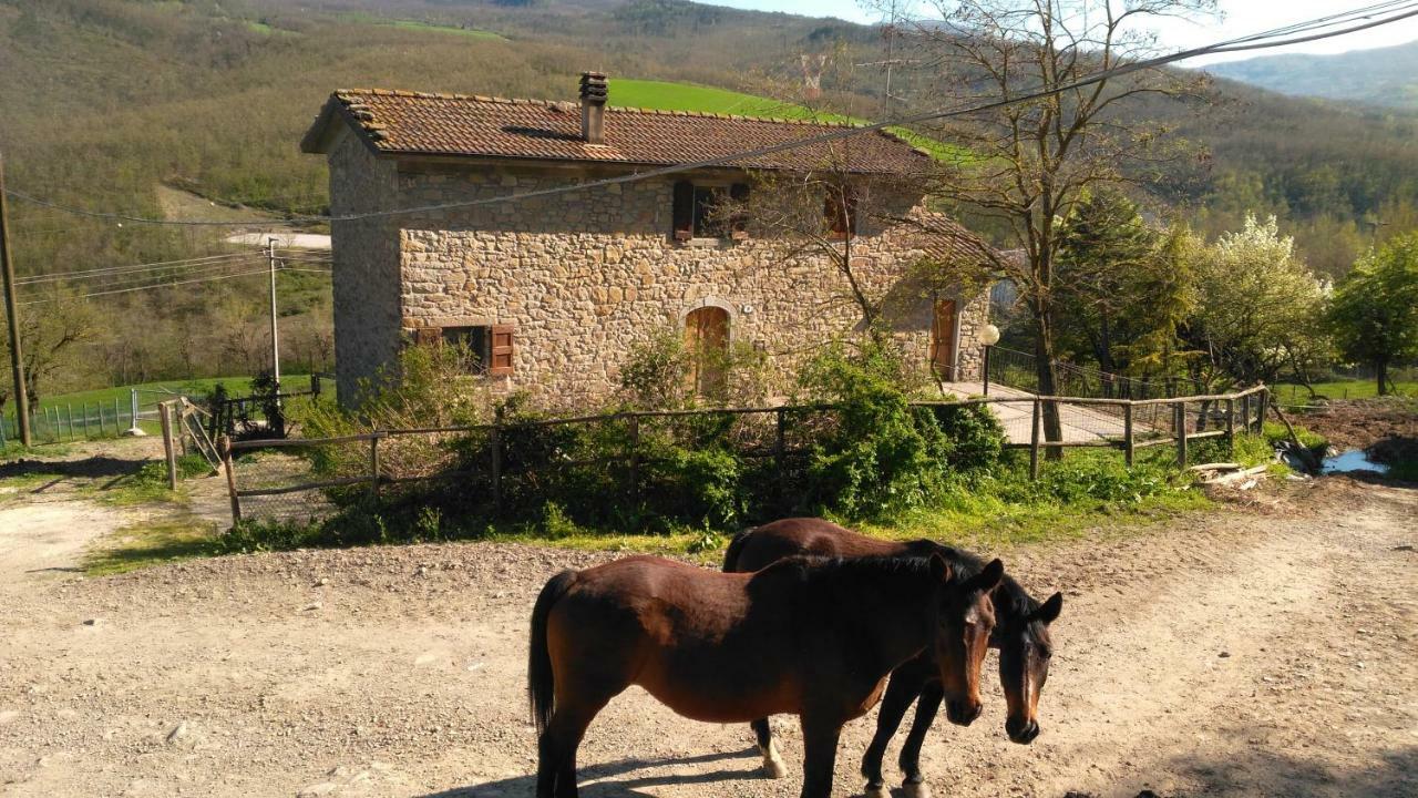La Cartiera Dei Benandanti Villa Monghidoro Exterior photo